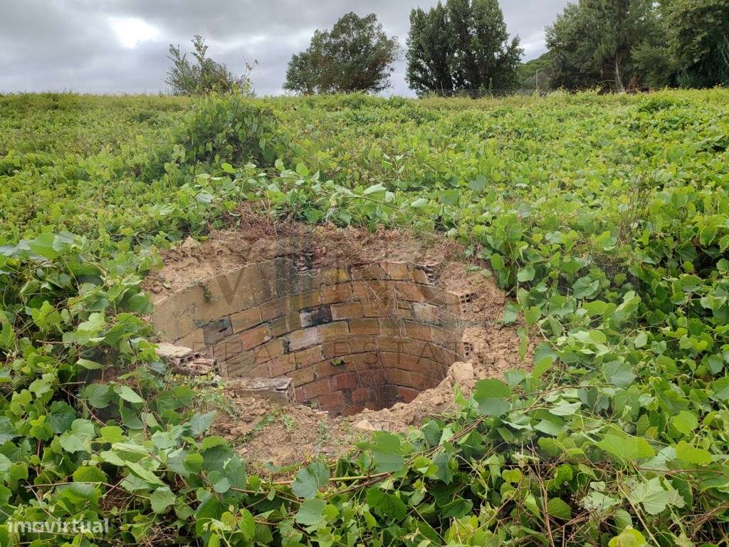 TERRENO PLANO A 40 MINUTOS DE LISBOA-7
