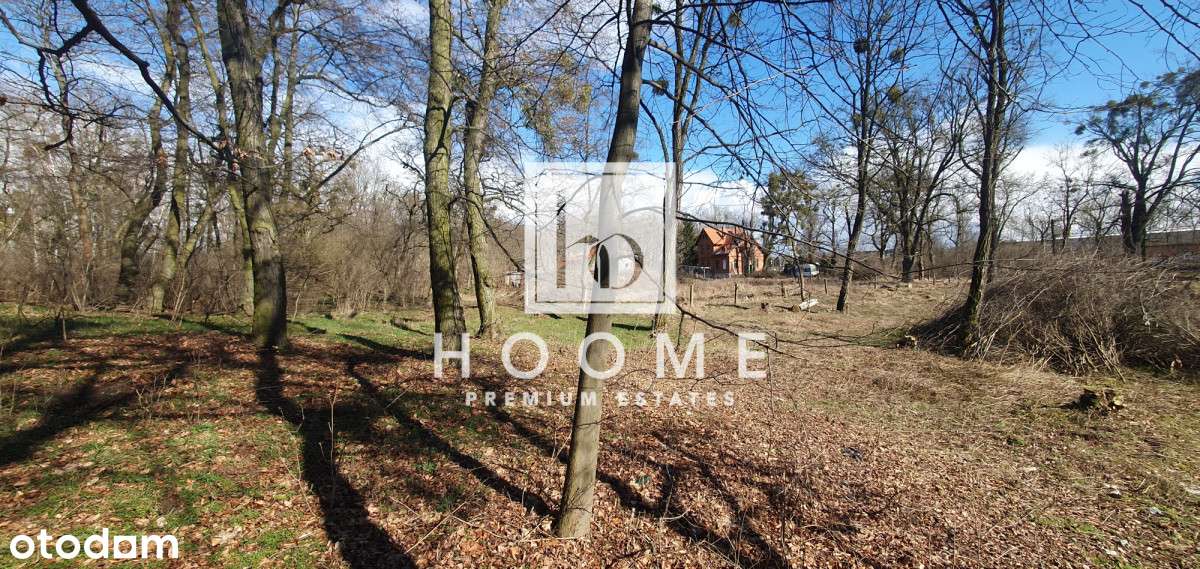 Unikat!! Toruń Dla Dewelopera, Lokalizacja!!-0