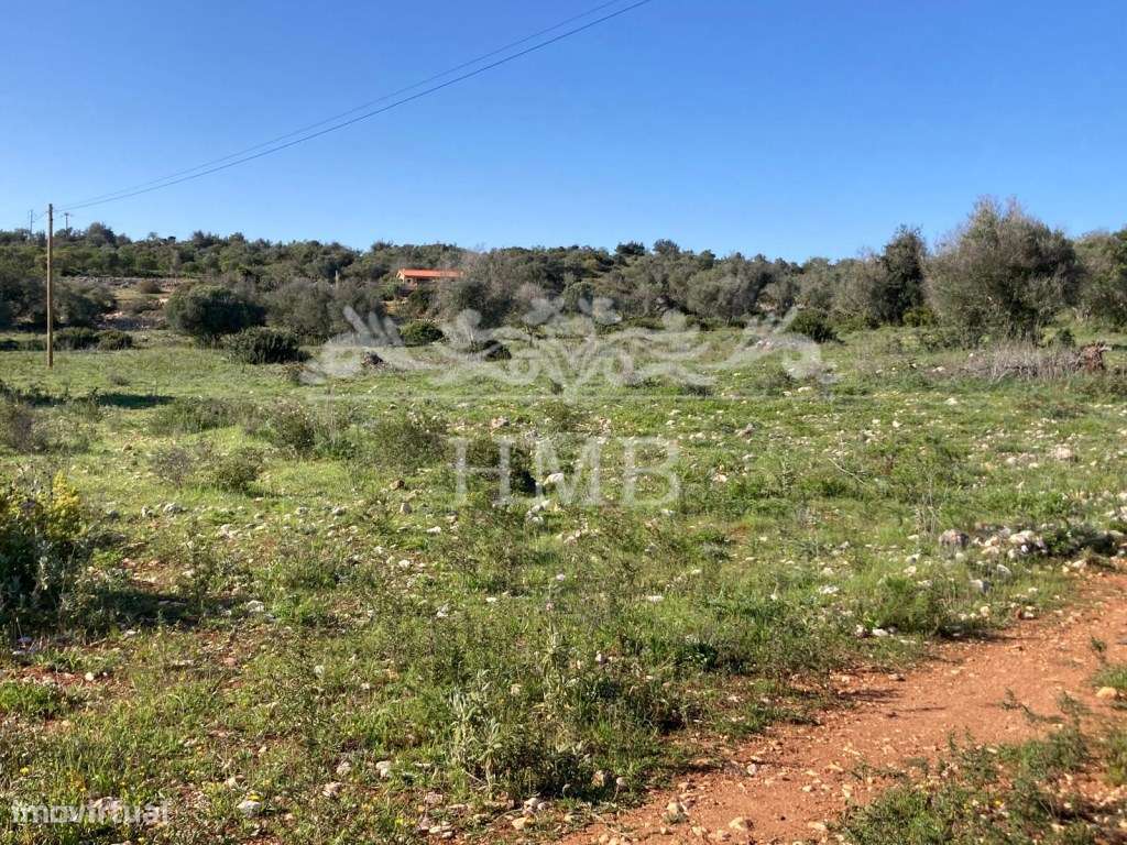 Terreno Rústico com 20701 m2 Próximo à Vila de Mexilhoeira-8
