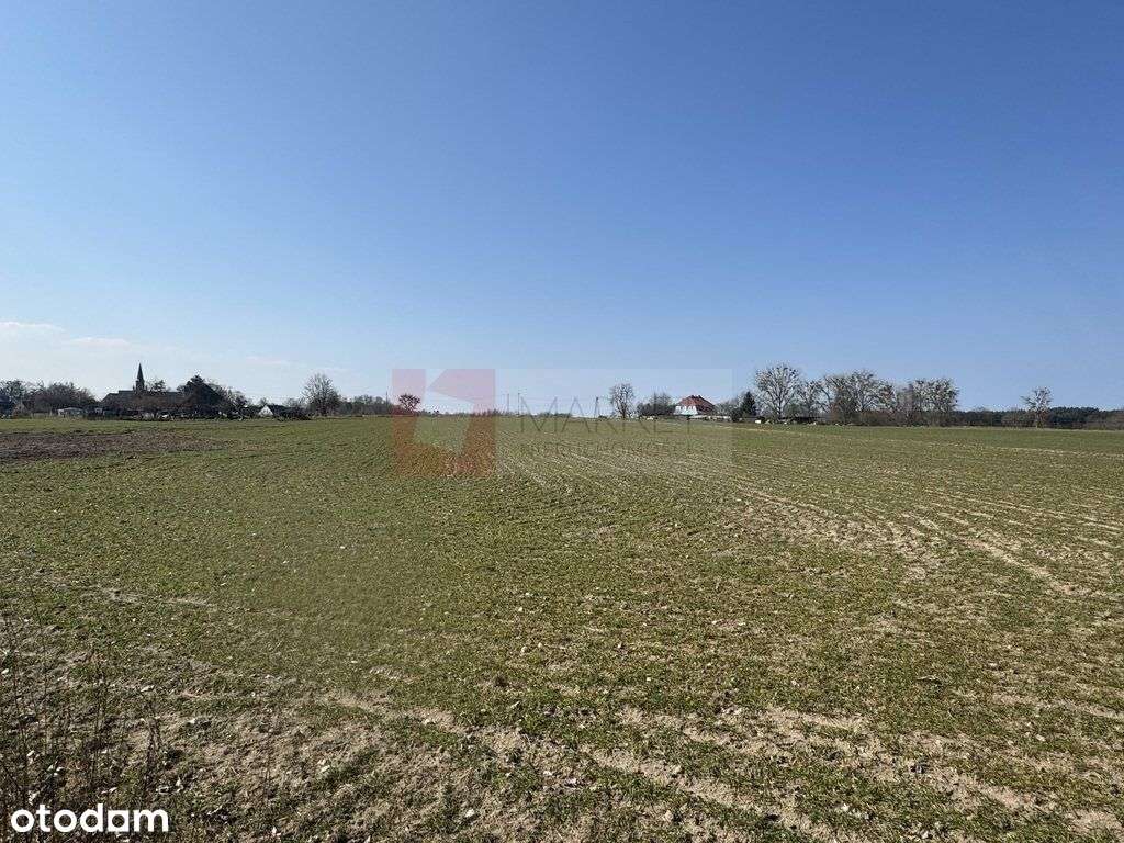 Atrakcyjna cena działki w Żarnowie - Pełny obrazek: 5/5