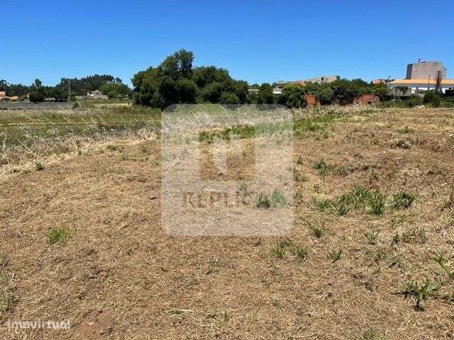 Terreno com Projeto de Arquitetura Aprovado para Construção de Moradia - Grande imagem: 4/11