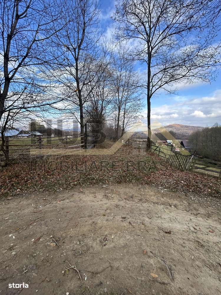 Teren Zarnesti | Tohanita | Intravilan | PUZ aprobat | Fara Utilitati-14