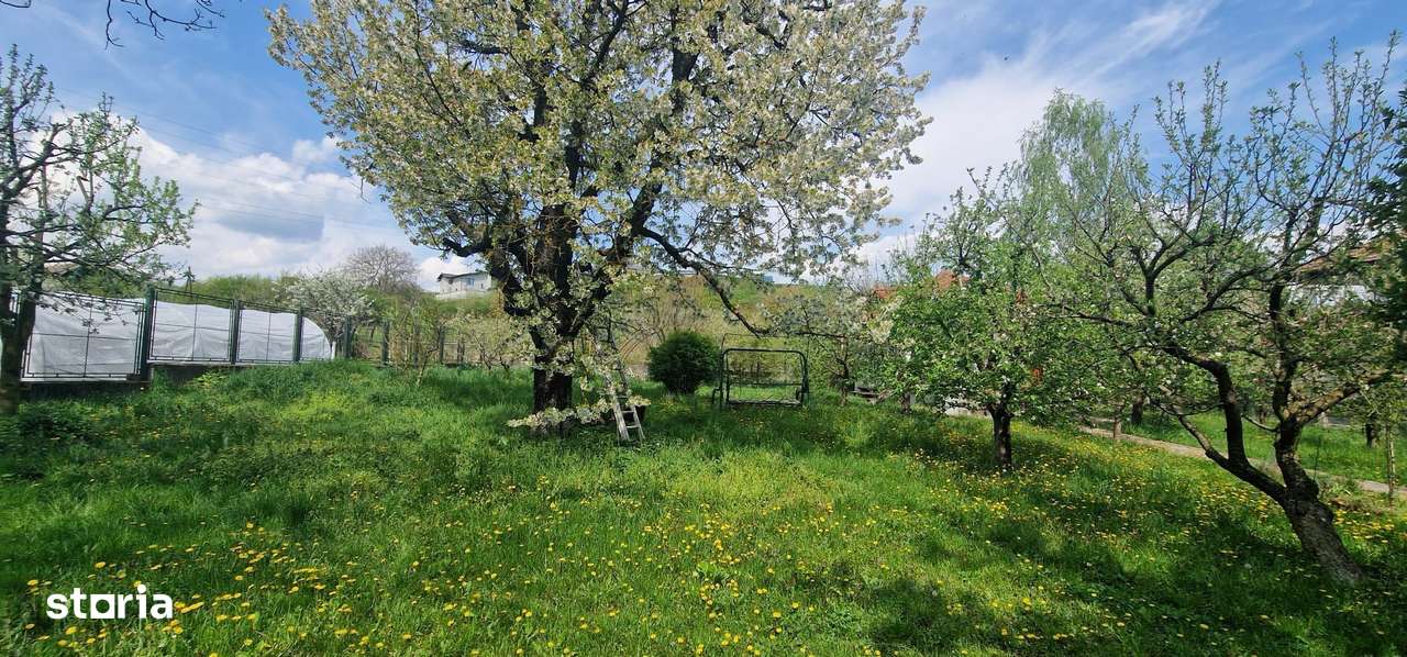 casa - 1500 mp de teren - zona rezidențială schit-10