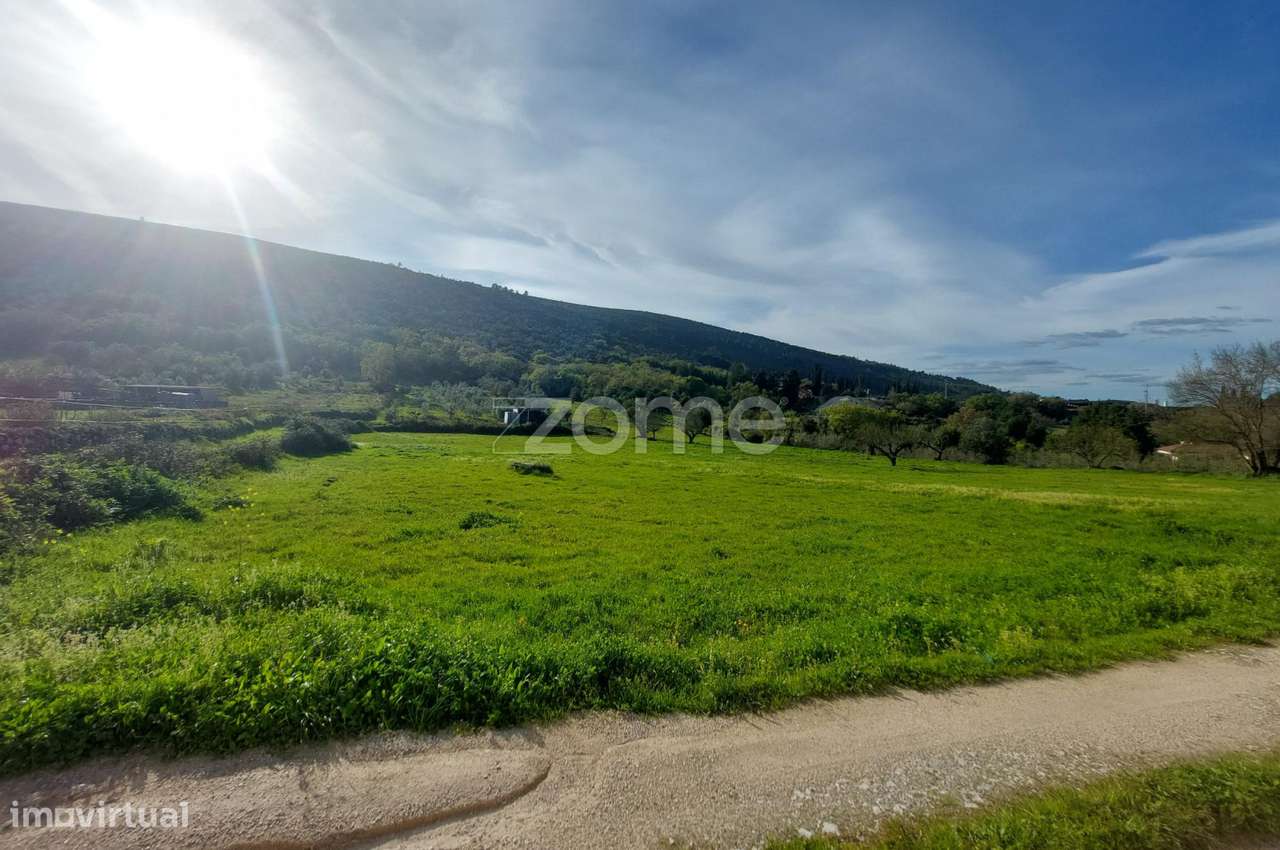 Terreno para construção a 2 minutos de Porto de Mós - Grande imagem: 5/22