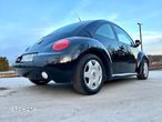 Volkswagen New Beetle - 11