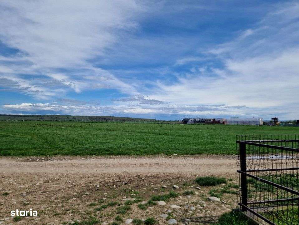 Vanzare teren extravilan 25.254 mp, situat in Preajba Mare - Imagine principală: 3/6