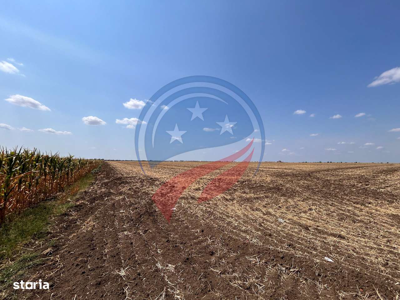 Teren intravilan de vanzare in Pielesti - Imagine principală: 2/10