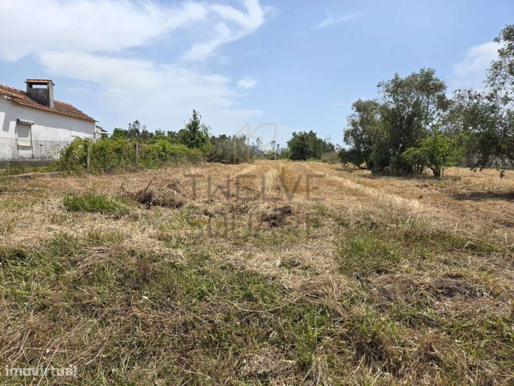 Terreno com Projeto para Edifício de 3 frações - Guia, Pombal-8