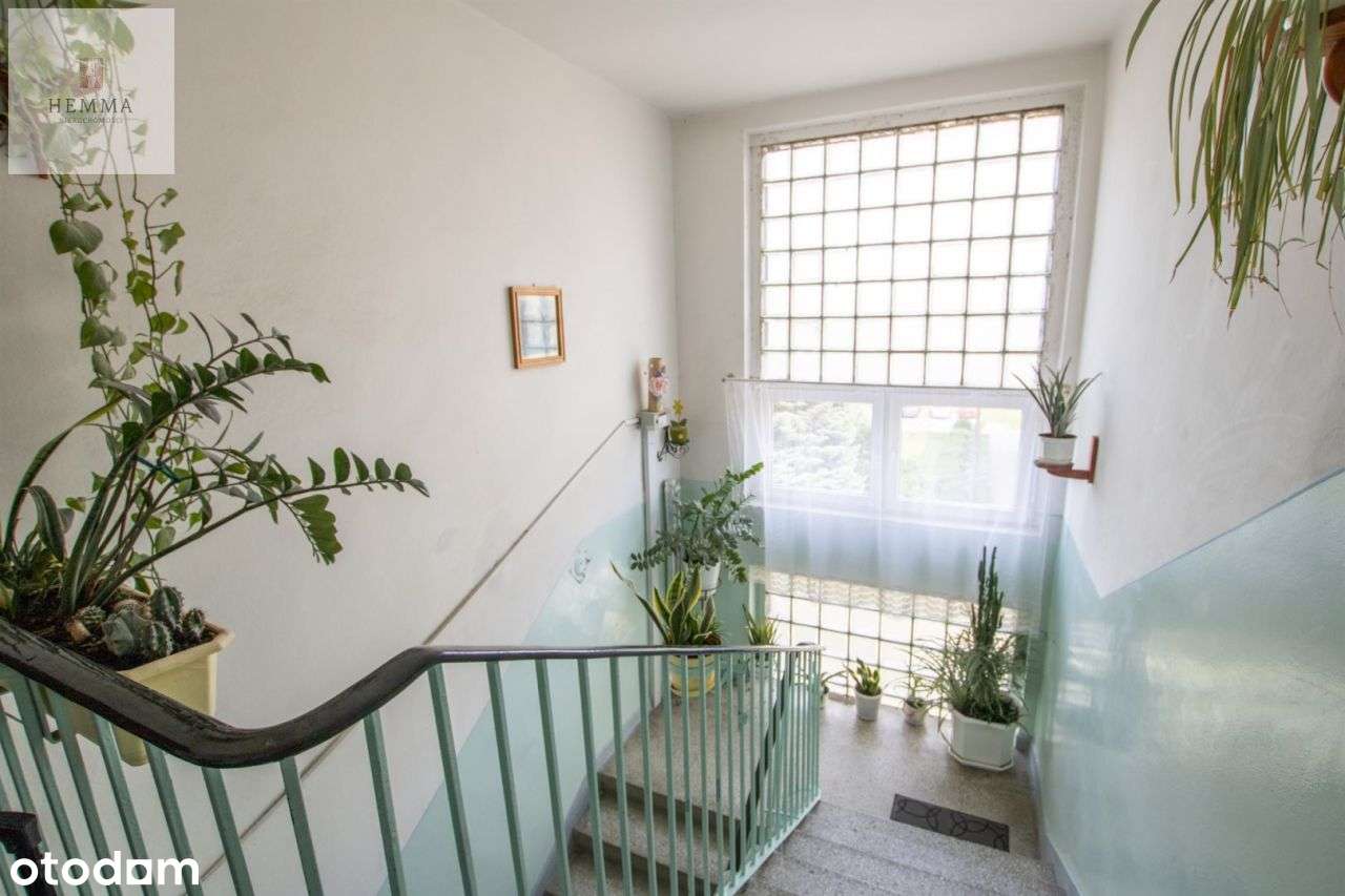 Mieszkanie, 47,80 m², Pasłęk-11