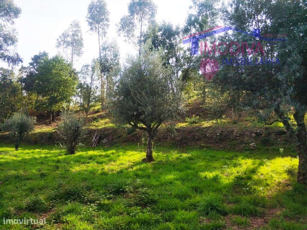 Terreno com 1790m2 em Pedrógão Grande - Grande imagem: 3/14