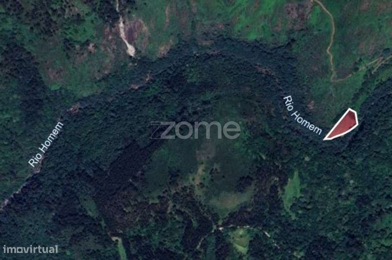Terreno Rustico Gerês, de 10 000m2, a confrontar com Rio Homem - Grande imagem: 3/5