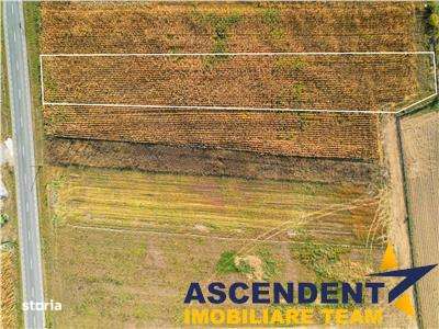 2.460 mp, teren intravilan, acces facil, Ghelinta, Covasna - Imagine principală: 4/7