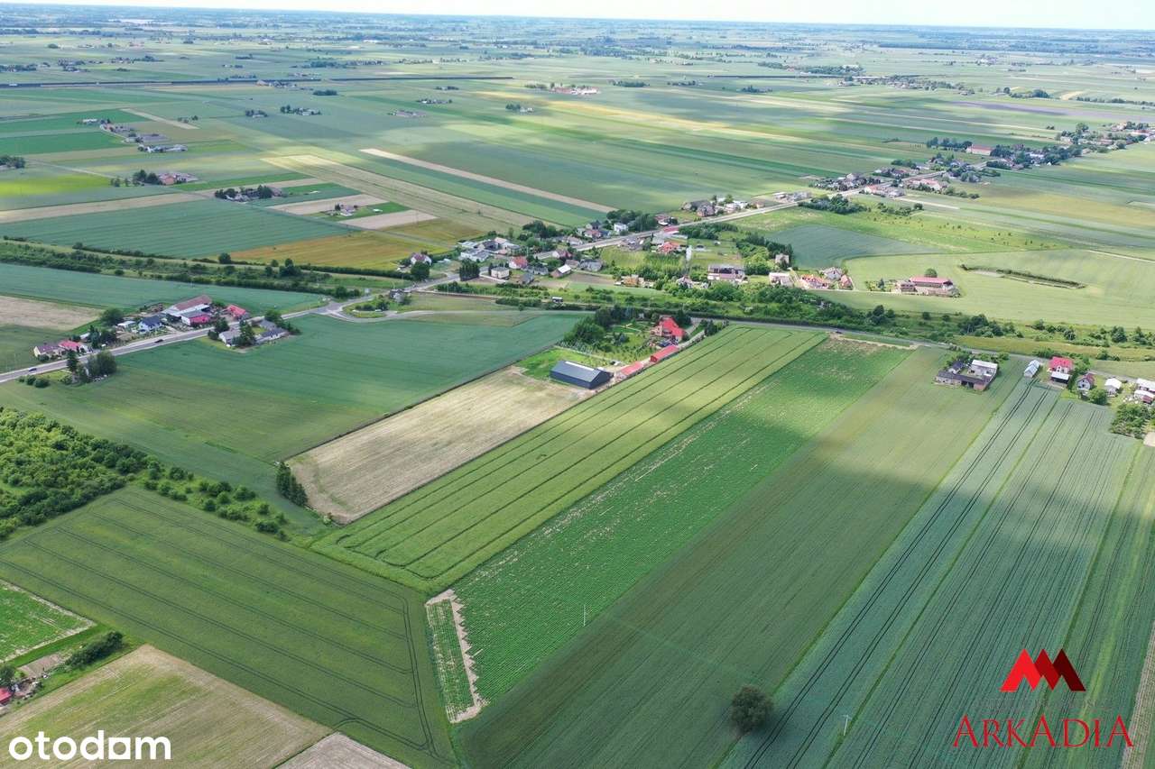 Na sprzedaż – Działki rolne w Gołaszewie - Pełny obrazek: 5/7