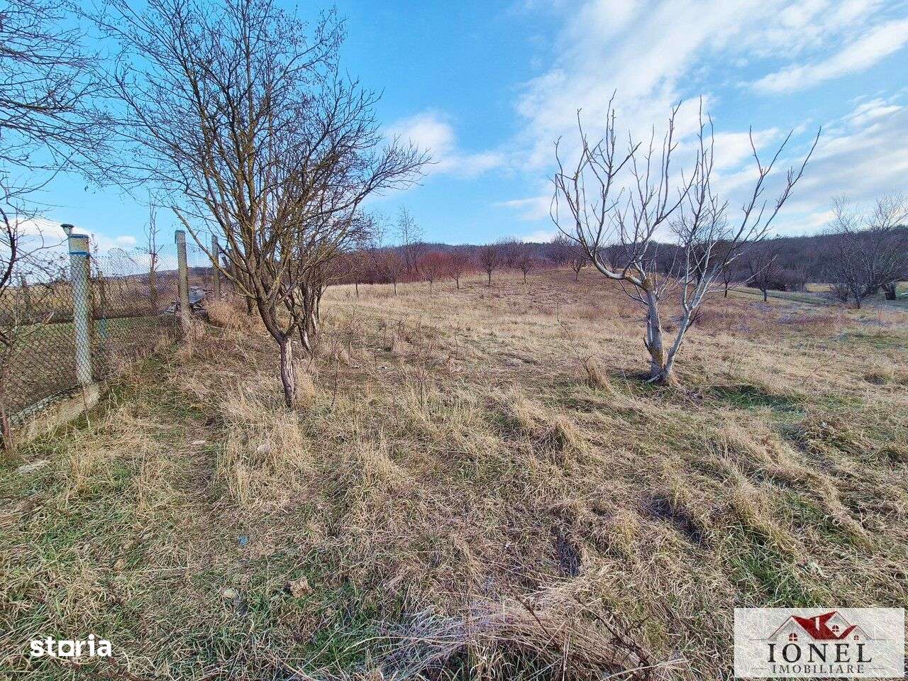 Teren de vanzare in  Santimbru-Totoi - Imagine principală: 4/8