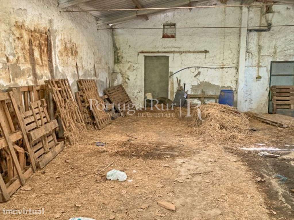 Complexo Agricola com 35.640 m² e 1.907 m² de área de construção-52
