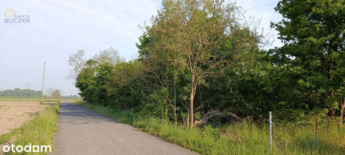 Sprzedam działkę przemysłową w Nowym Kozłowie A-1