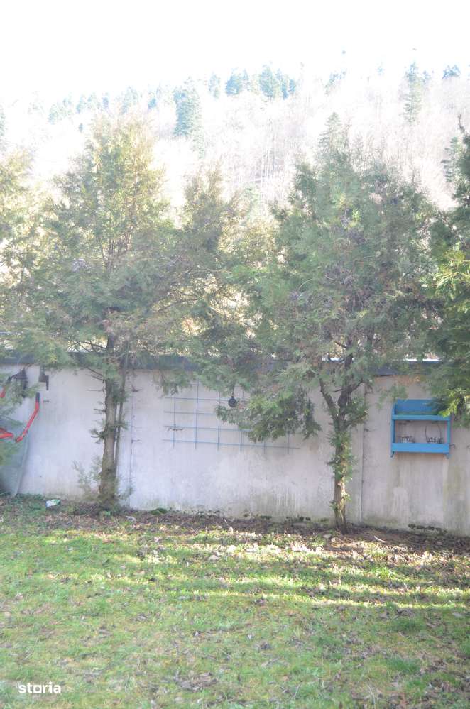 Apartament 2 Camere - Panoramă spectaculoasă în Bușteni (Zamora)-4