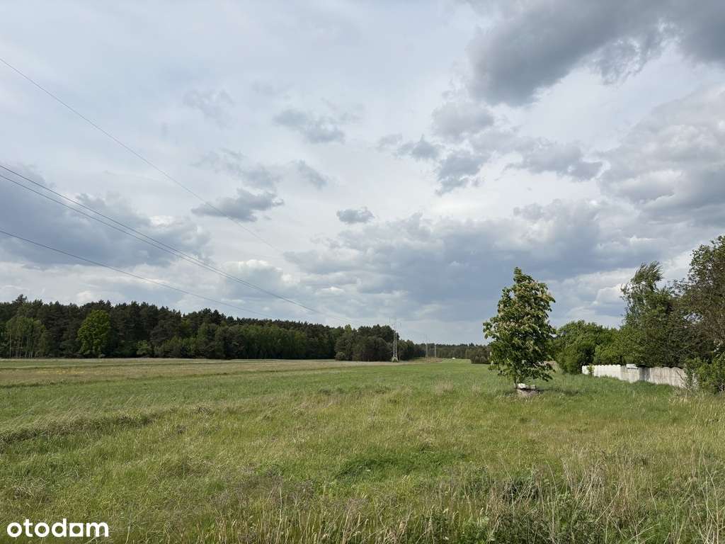 Duża działka budowlano-rolna Zalesiaki-Pieńki - Pełny obrazek: 4/6