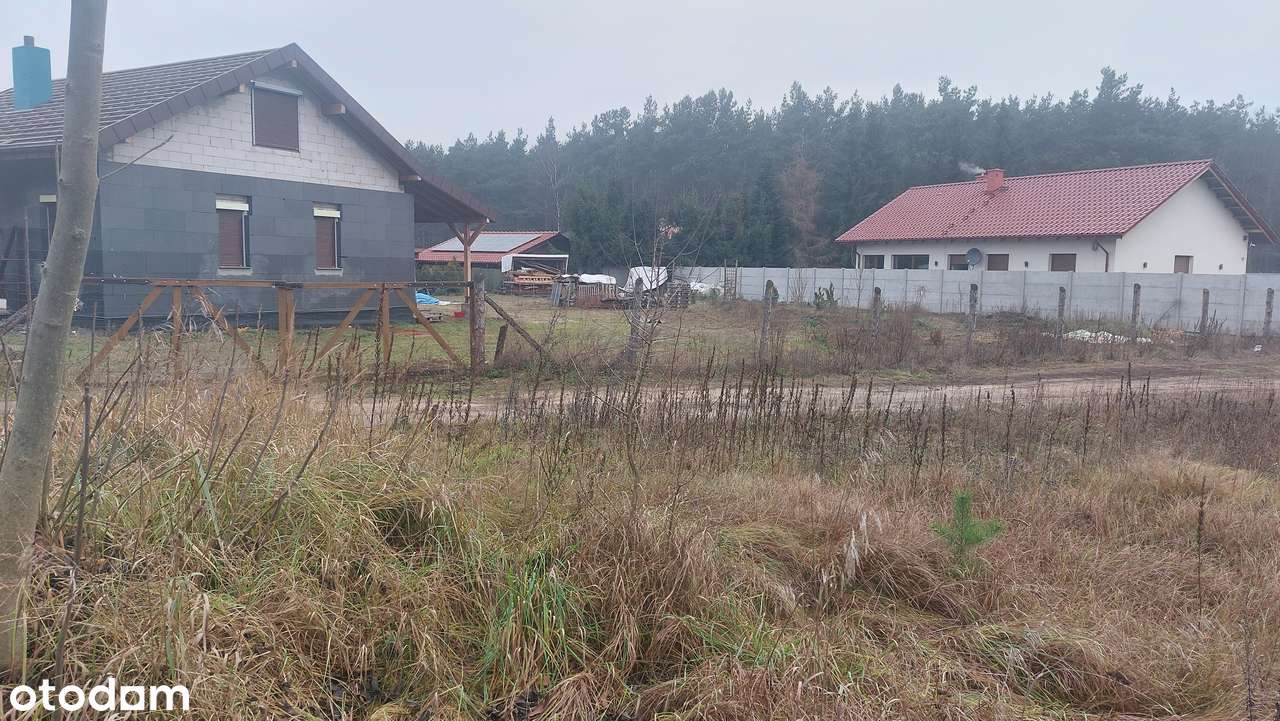 Działka z widokiem na las - Pełny obrazek: 2/4