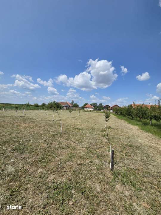 Casa  cu teren de 40 ari in localitatea Gelu - Imagine principală: 4/7