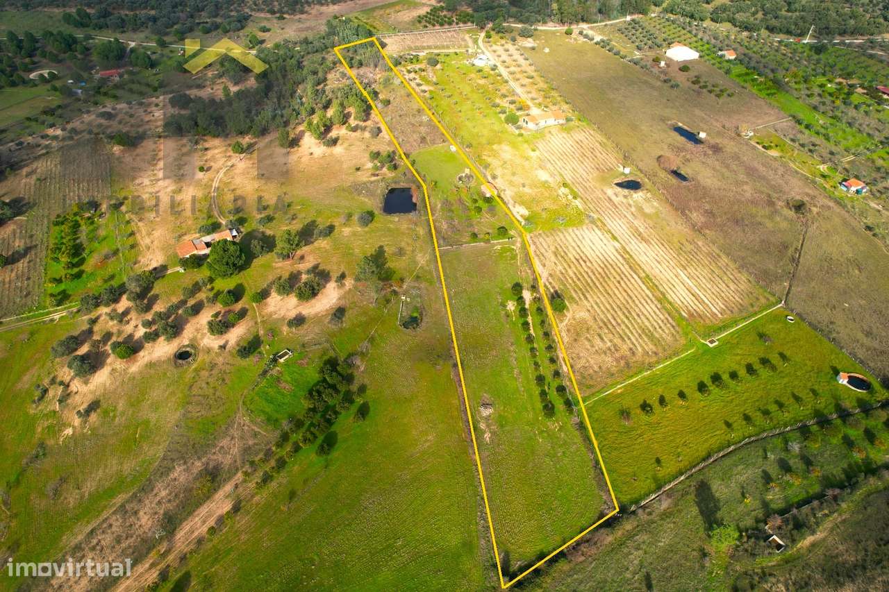 Terreno Rústico  Venda em Escalos de Baixo e Mata,Castelo Branco - Grande imagem: 3/19