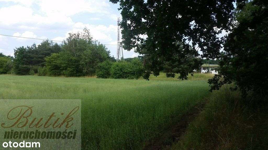 Trzciel Świdwowiec 5,4 h działka rolna ze studium-5