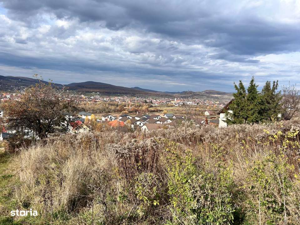 Teren extravilan-Valea Ghinzi-500mp- 2500 euro ar-5
