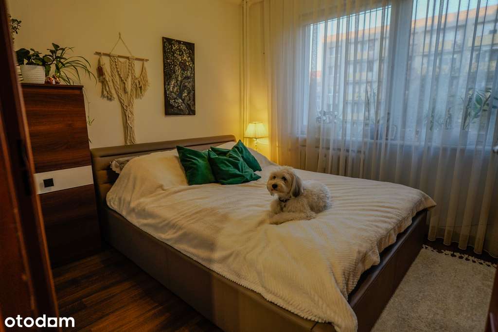 Częstochowa, ul. Iwaszkiewicza | Mieszkanie-6