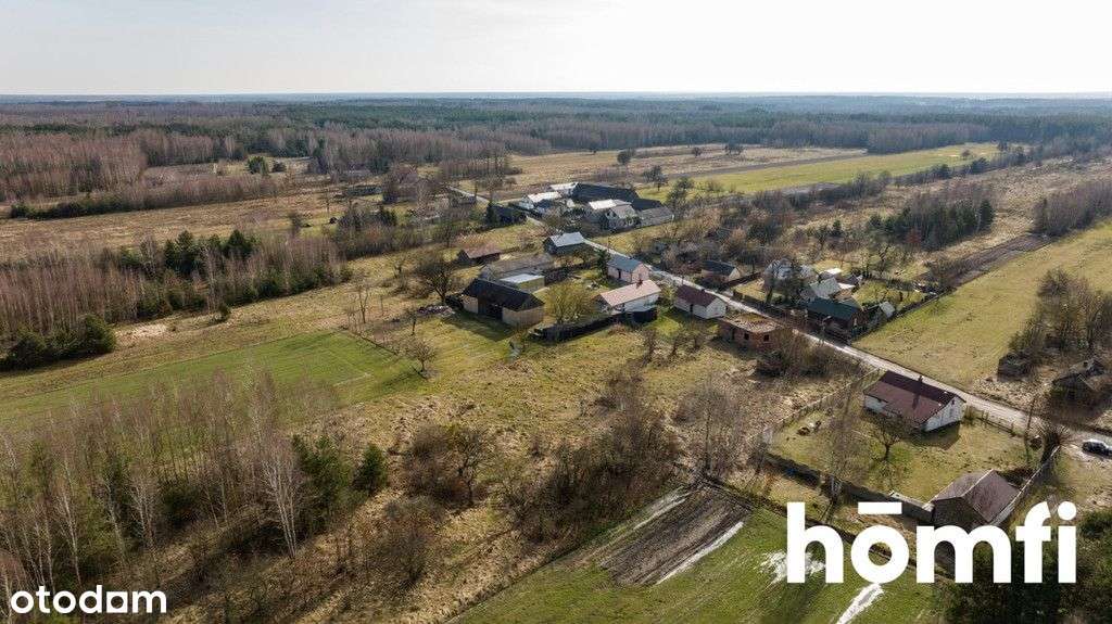 Działka w Józefowie, okolice lasu - Pełny obrazek: 4/11