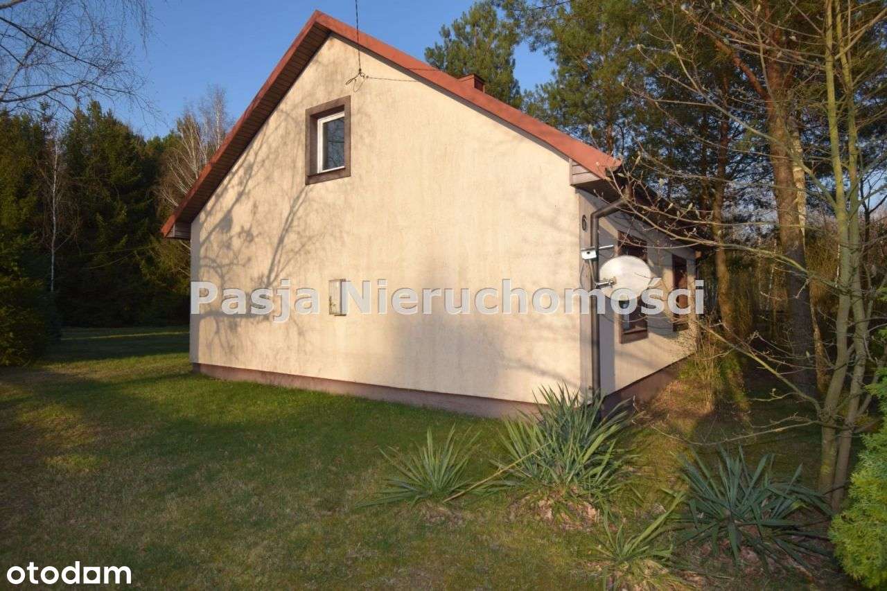 Siedlisko przy lesie - Pełny obrazek: 5/15