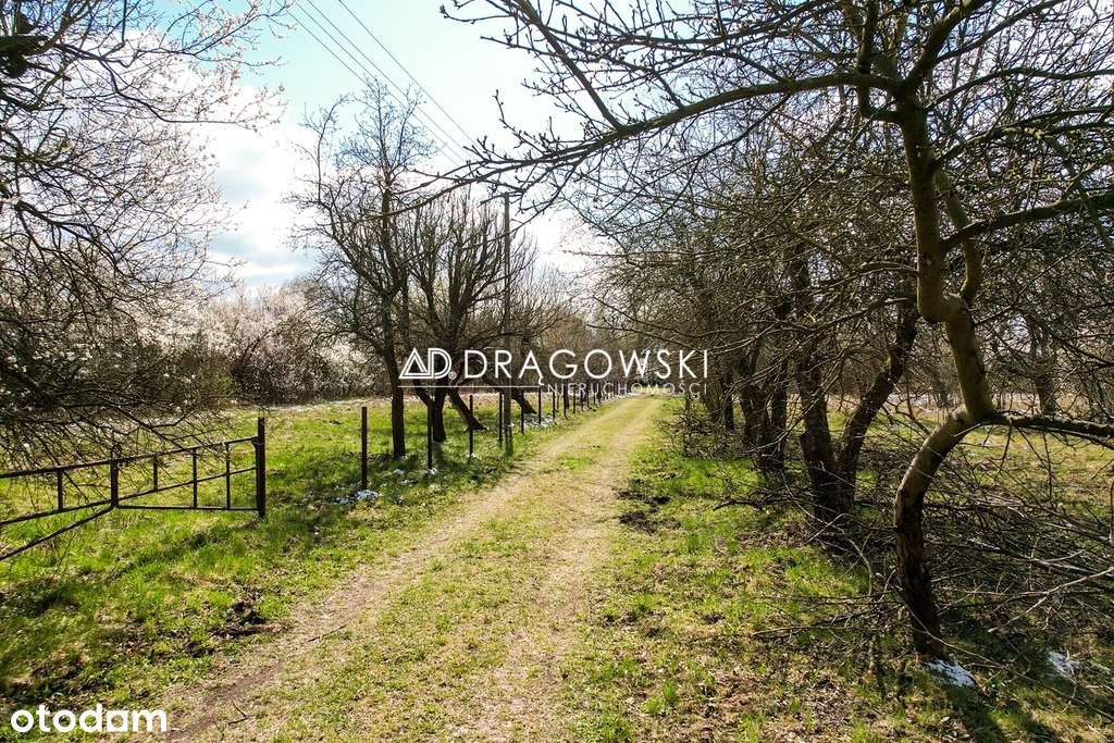 Atrakcyjna działka w Mrowiskach gm. Halinów 3 ha - Pełny obrazek: 5/8