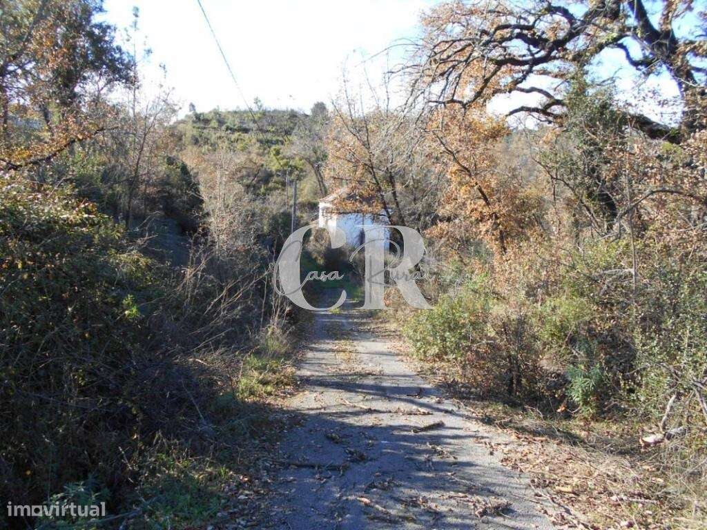 Casa para recuperar próxima de Ansião. - Grande imagem: 5/33