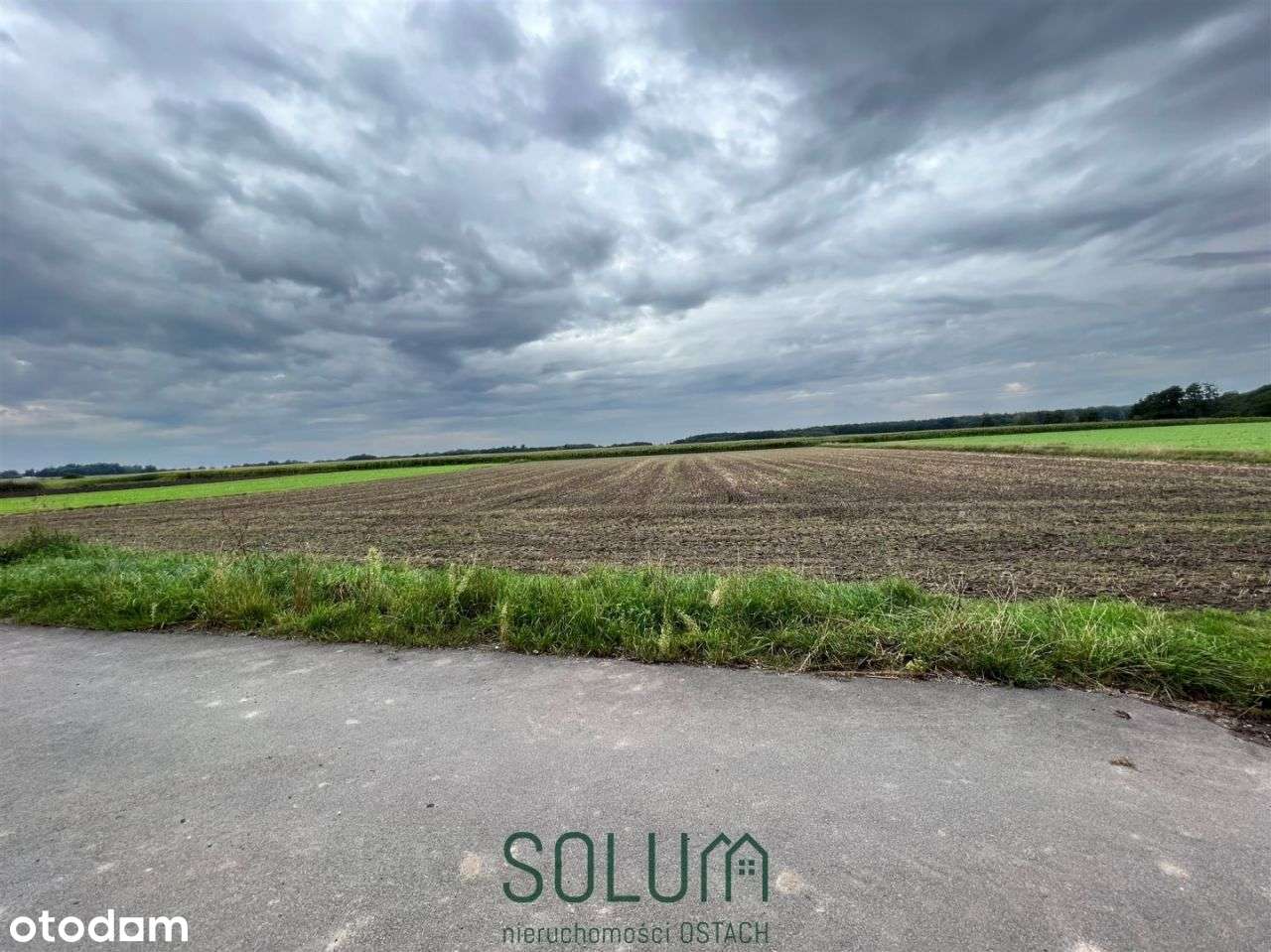 Działka Rolna Gronówko K. Leszna! - Pełny obrazek: 4/5