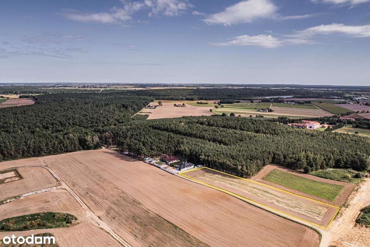 Działki nad jeziorem, Sapowice woj. Wielkopolskie - Pełny obrazek: 4/6