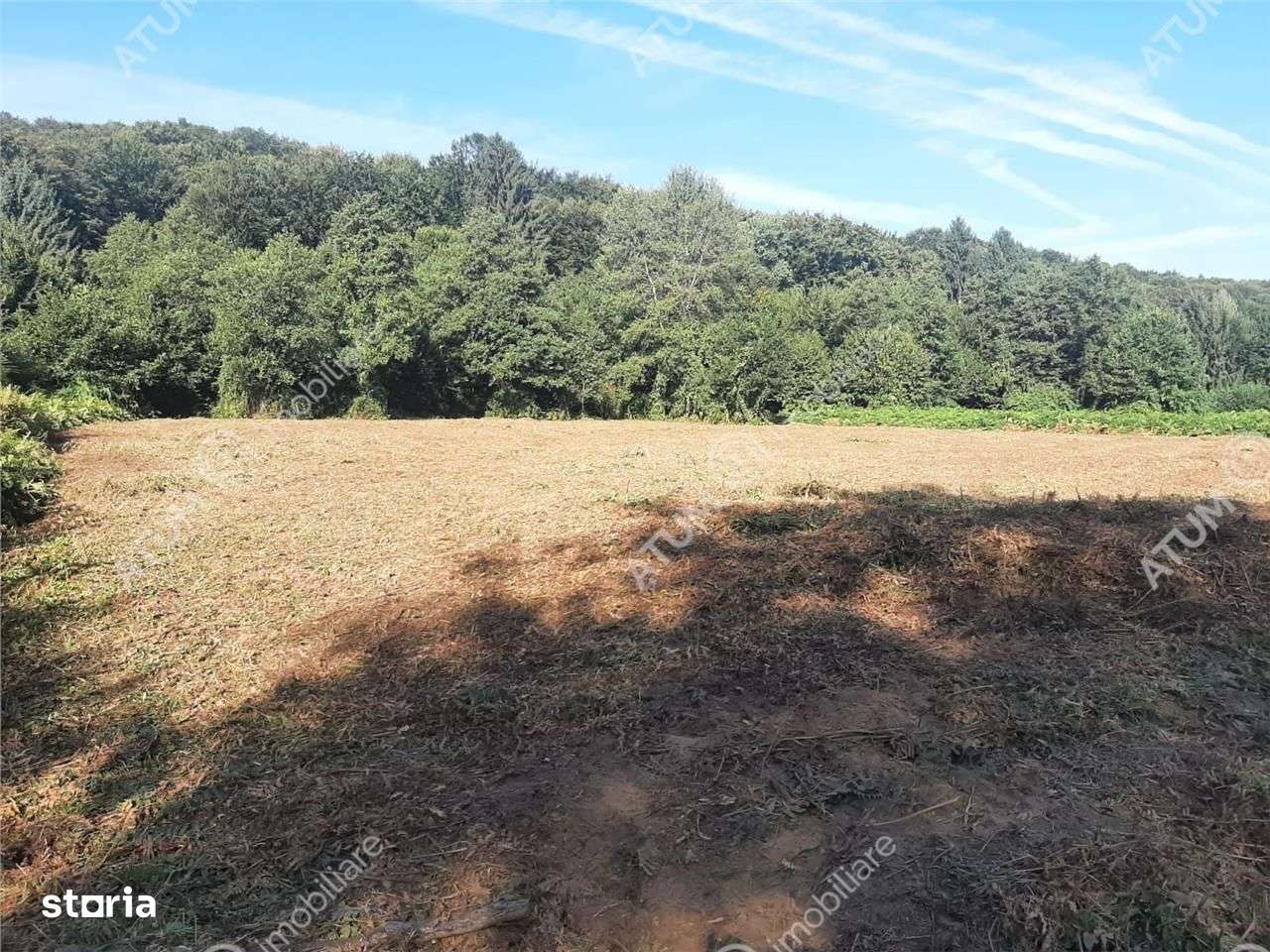 Teren intravilan de vanzare 1856 mp in Avrig zona Valea Avrigului - Imagine principală: 3/6