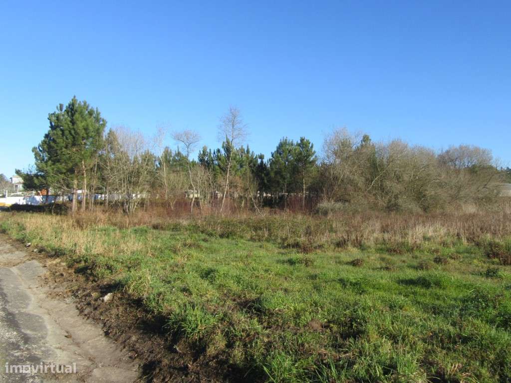 Terreno para construção na zona de Monte Real - Grande imagem: 5/10