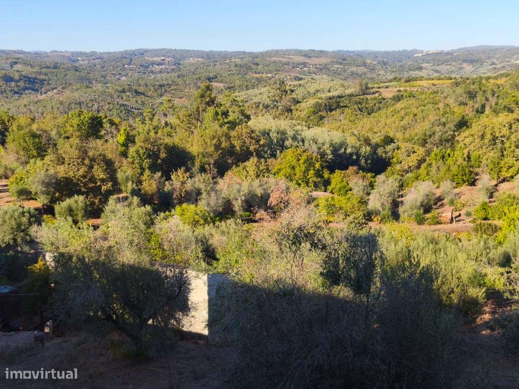 Moradia a preço económico-21