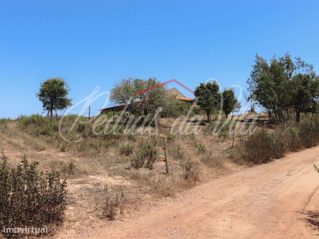 Quinta de 25ha com projeto aprovado - São Teotónio - Odemira-8