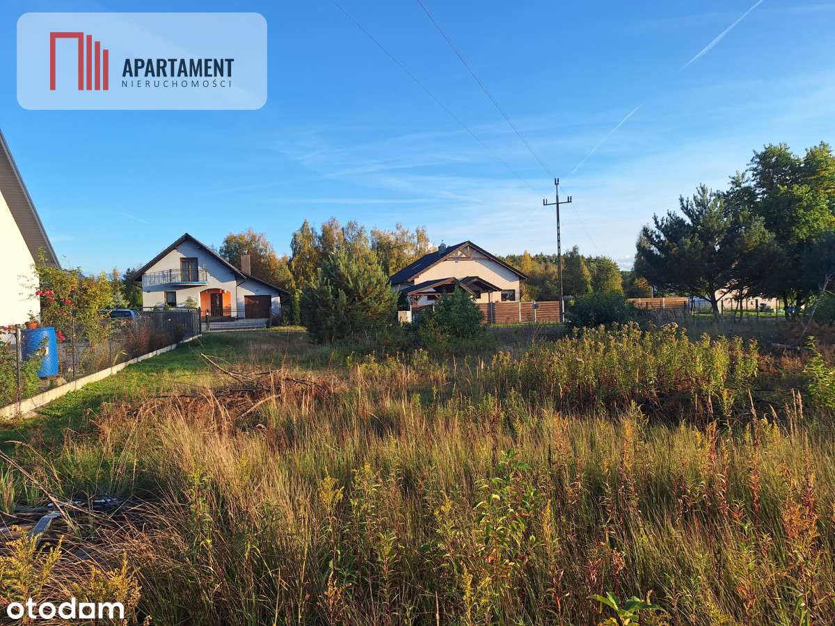 Działka Dębina spokojna okolica - Pełny obrazek: 5/6