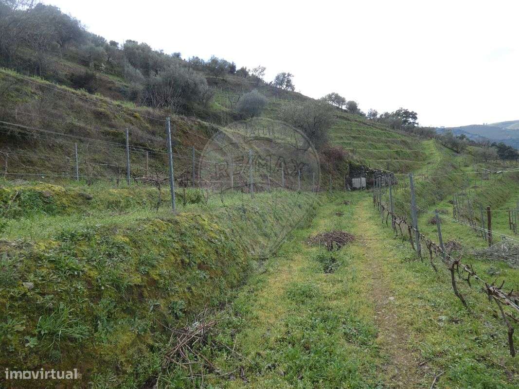 Terreno  para venda - Grande imagem: 5/14