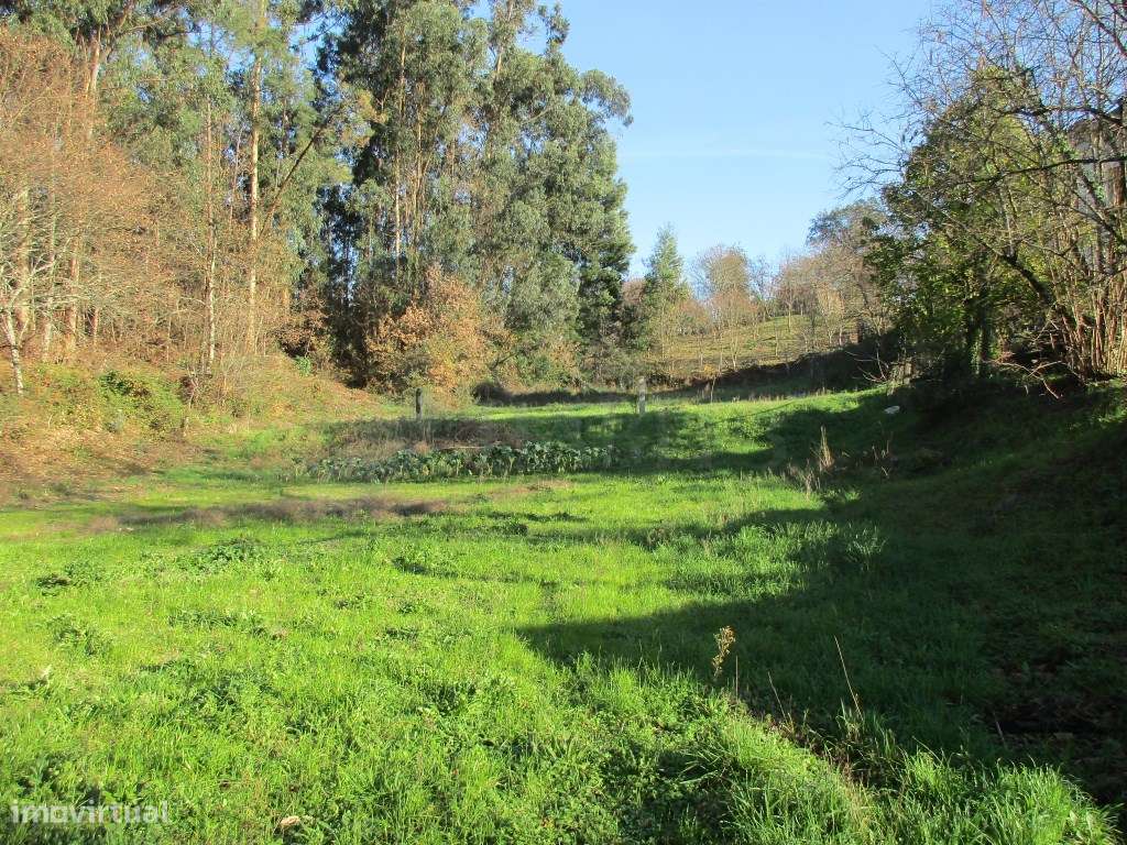 Terreno p/ arrendar na Zona Industrial de Queijada - Grande imagem: 2/5