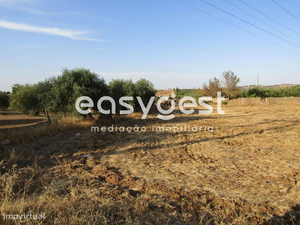 Terreno plano Rústico com 4500m2, situado em Serpa - Grande imagem: 4/5
