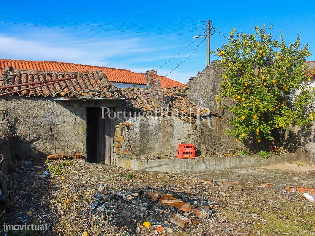 Casa Rústica com pequeno quintal e anexo - São Pedro do Esteval-15