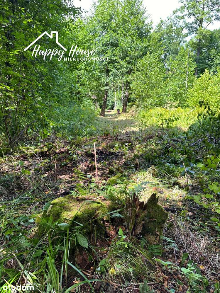 Działka nad rzeką Brdą-WZ na płaski dach-1