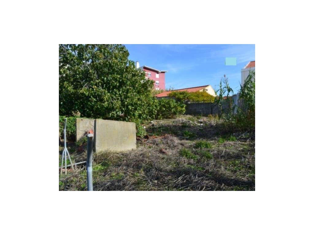 Terreno Rústico - Ajuda - Grande imagem: 3/12