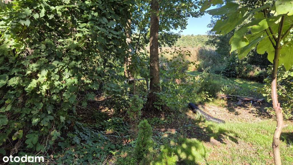 Sapowice zabud. letniskowa pod zabudowę - jezioro - Pełny obrazek: 5/7