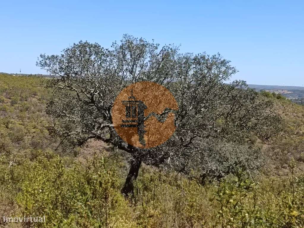 TERRENO COM 34.700 M2 - POSSIBILIDADES DE CONSTRUIR UM ARMAZEM - PR...-29