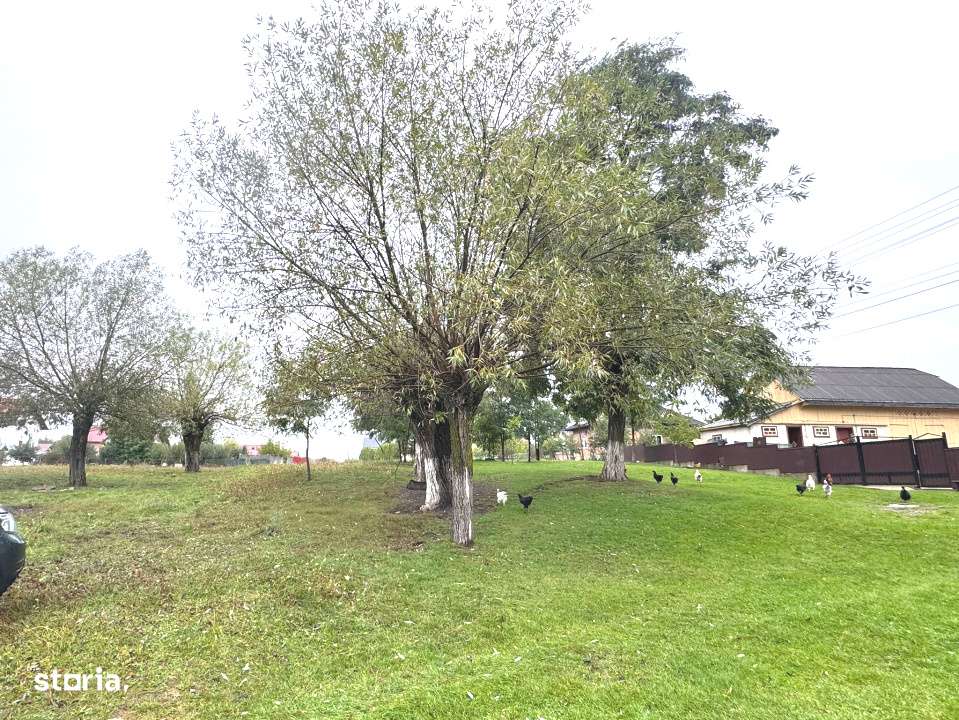 Adresa in Romania-  casa batraneasca demolabila cu 2050 mp teren - Imagine principală: 5/19