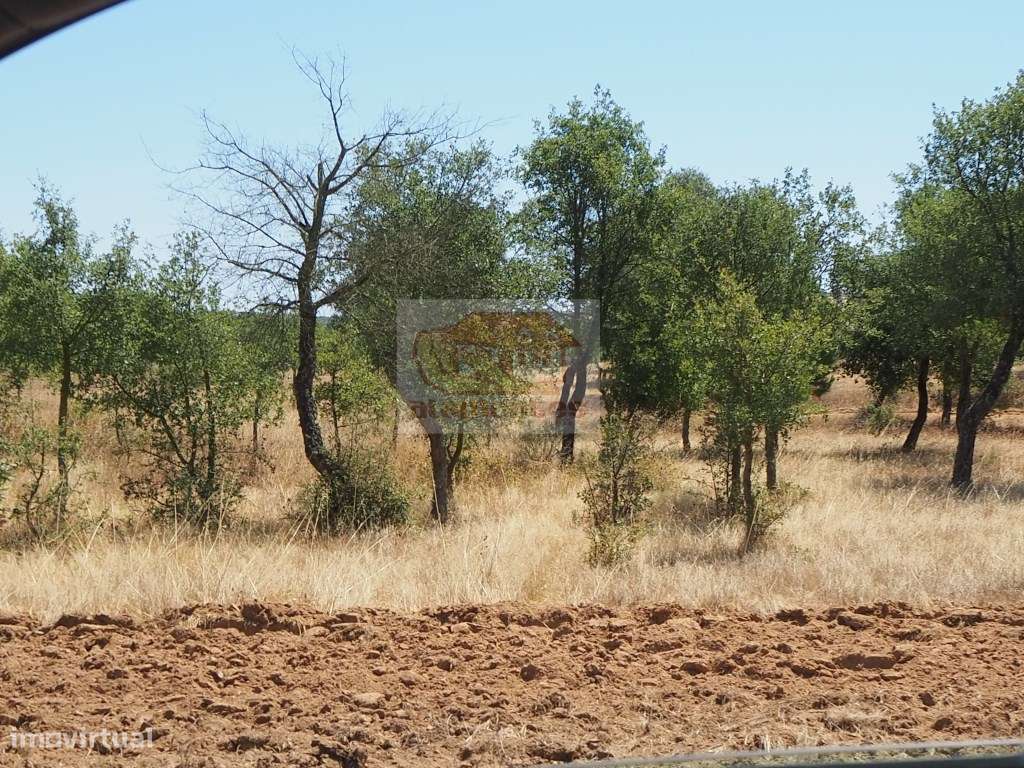 Terreno de 8ha com ruína a 5 minutos da praia da Aberta Nova e da a... - Grande imagem: 4/12