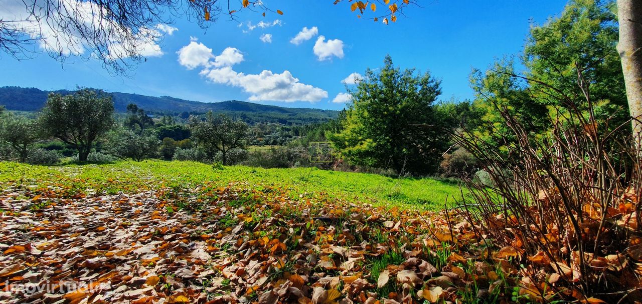 Quinta T3 Venda em Enxames,Fundão